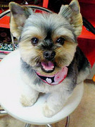 20090310 1700-2.jpg