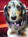 20090404 1550.jpg