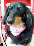 20090405 1232.jpg