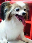 20090424 1805.jpg