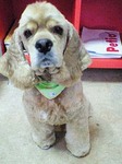 20090529 1519.jpg