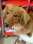 20090530 1200(2).jpg