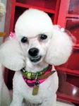 20090618 1729(1).jpg