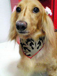 20090906 1735.jpg