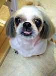 20091201 1750.jpg