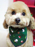 20091207 1642(1).jpg