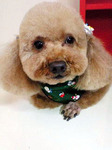 20091213 1424.jpg