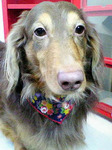 20100116 1106.jpg