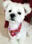 20100124 1701.jpg
