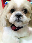 20100207 1635.jpg