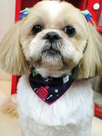 20100207 1636.jpg