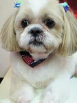 20100207 1637.jpg