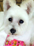 20100208 1439.jpg