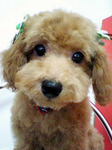 20100409 1639.jpg
