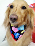 20100410 1658.jpg