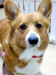 20100412 1726.jpg