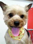 20100424 1754.jpg