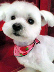20100528 1655.jpg