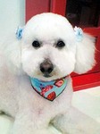 20100626 1359.jpg