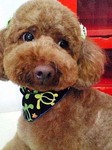 20100627 1400.jpg