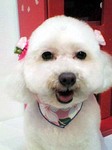 20100715 1605.jpg