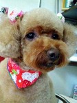 20100717 1551(1).jpg