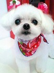 20100724 1253.jpg