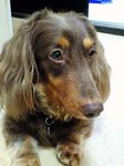 20100801 1940.jpg