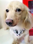 20100820 1538.jpg