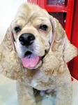 20100824 1558.jpg