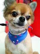 20100904 1225.jpg