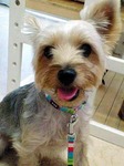 20100918 0716.jpg
