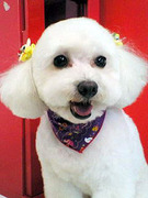 20101005 1426.jpg