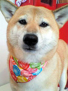 20101019 1201.jpg