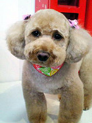 20101022 1401.jpg