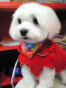 20101028 1603.jpg