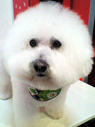 20101213 1449.jpg