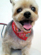 20101225 1253.jpg