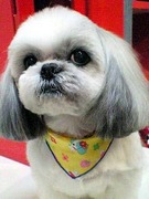 20110129 1804.jpg