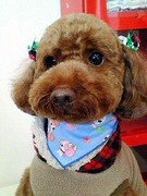 20110130 1357.jpg