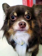 20110201 1314.jpg