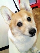 20110220 1404(1).jpg