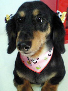 20110228 1513.jpg