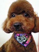 20110513 1638.jpg