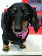 20110604 1631.jpg
