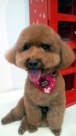 2011101314260000.jpg