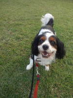 2011111307450000.jpg