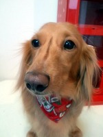 2011112615010000-2.jpg