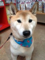 2012012416260002.jpg