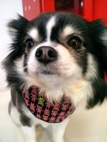 2012031013290001.jpg